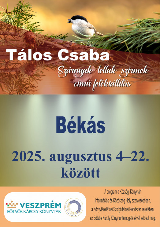 bekas_taloscsaba (3).jpg