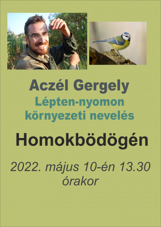 homokbodoge_aczelgergely (1).jpg