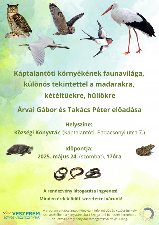 kaptalantoti_faunavilaga (1)_01.jpg