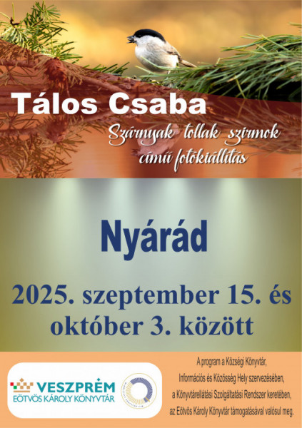 nyarad_taloscsaba (3).jpg