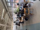 Bod Péter vetélkedő_12