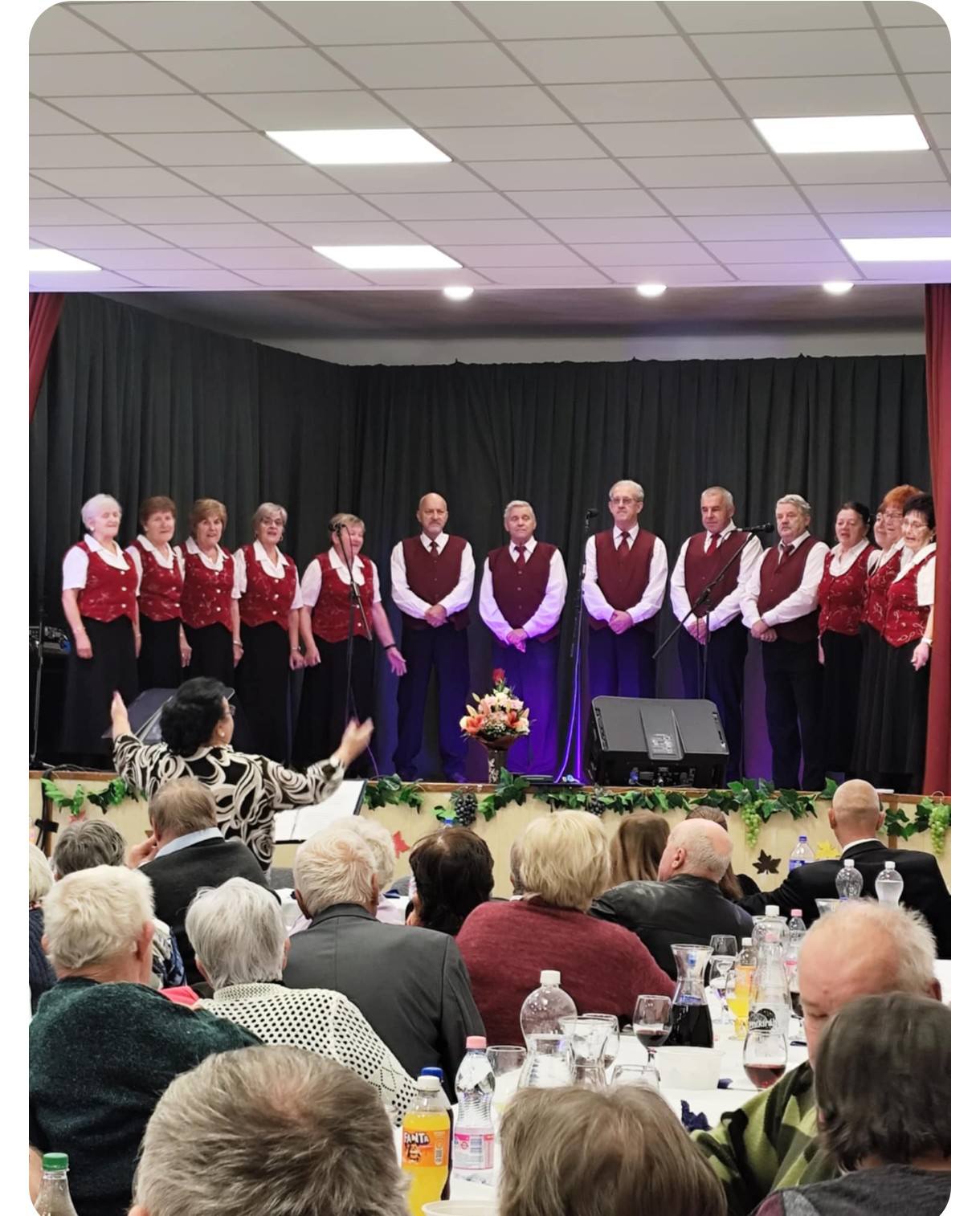 bakonyszucs megafon 1