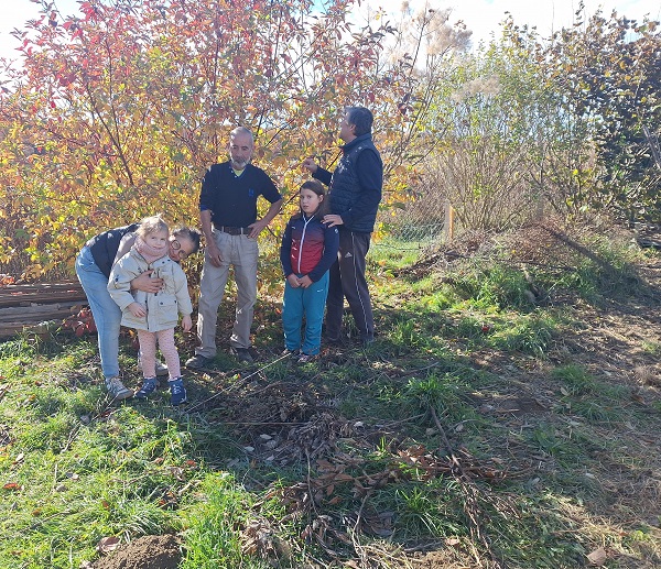 csehbanya gyogynovenyek 1