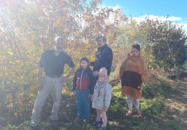 csehbanya gyogynovenyek 2