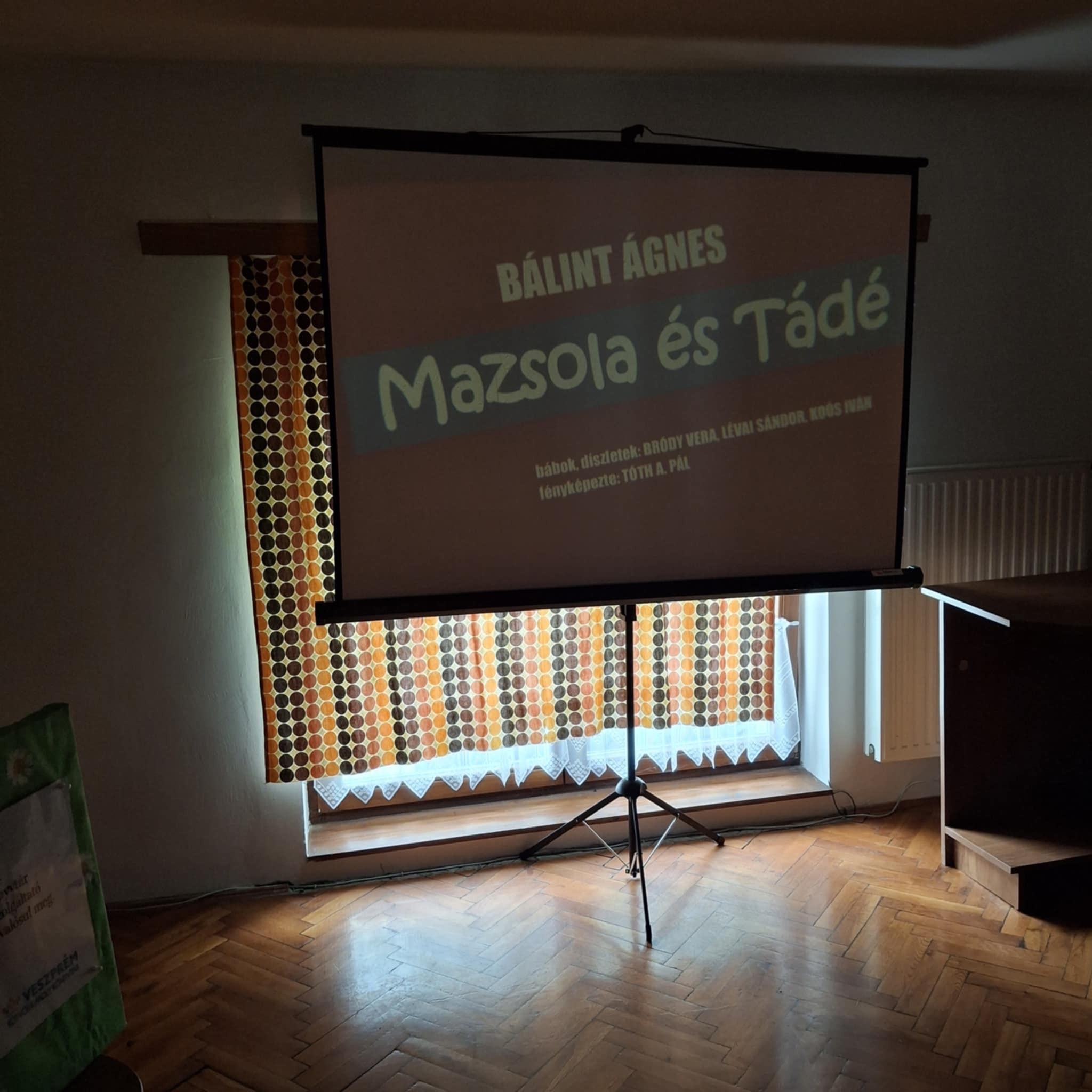 kislod diafilmvetites 3