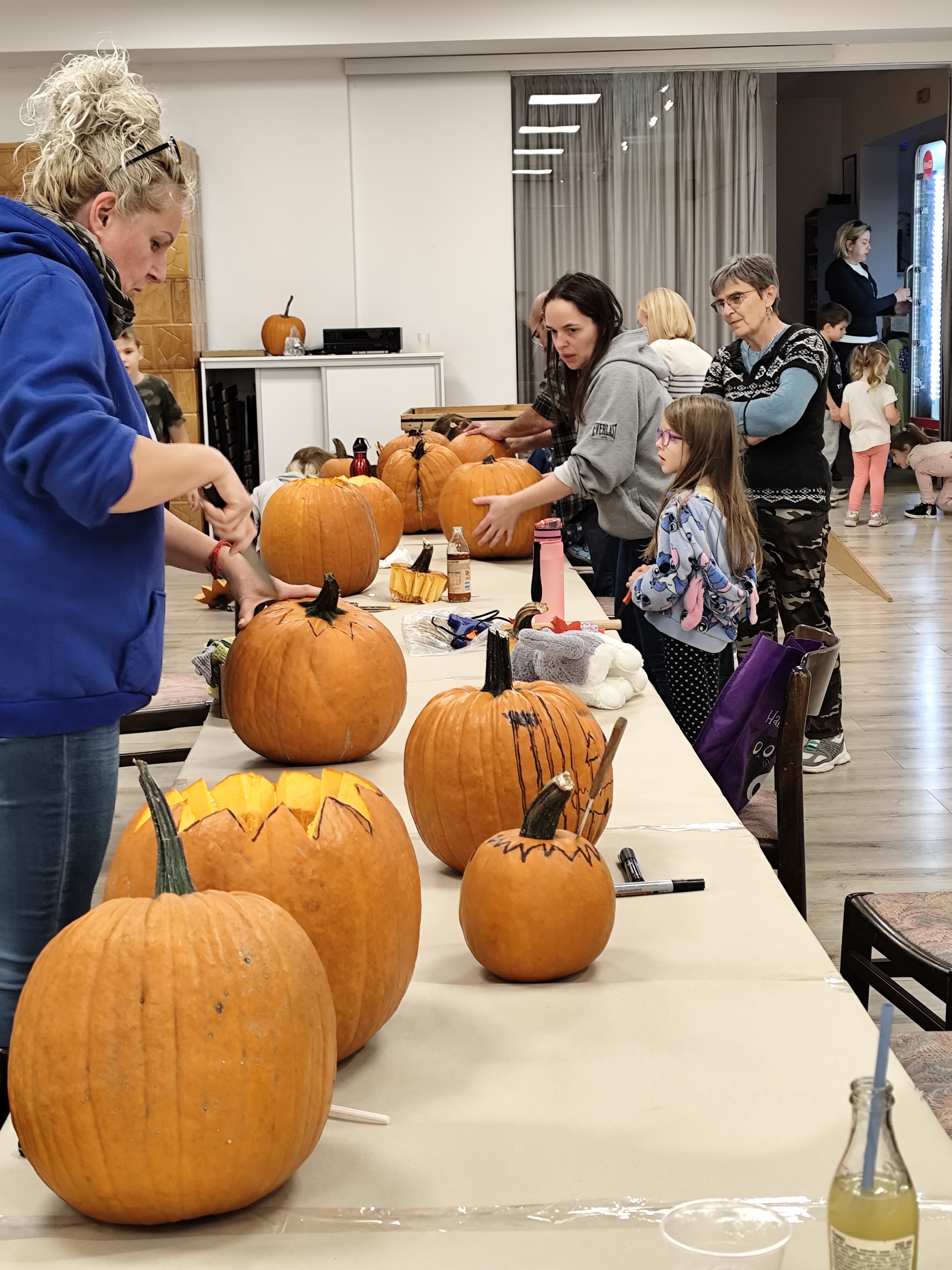 paloznak tokfaragodelutan 2