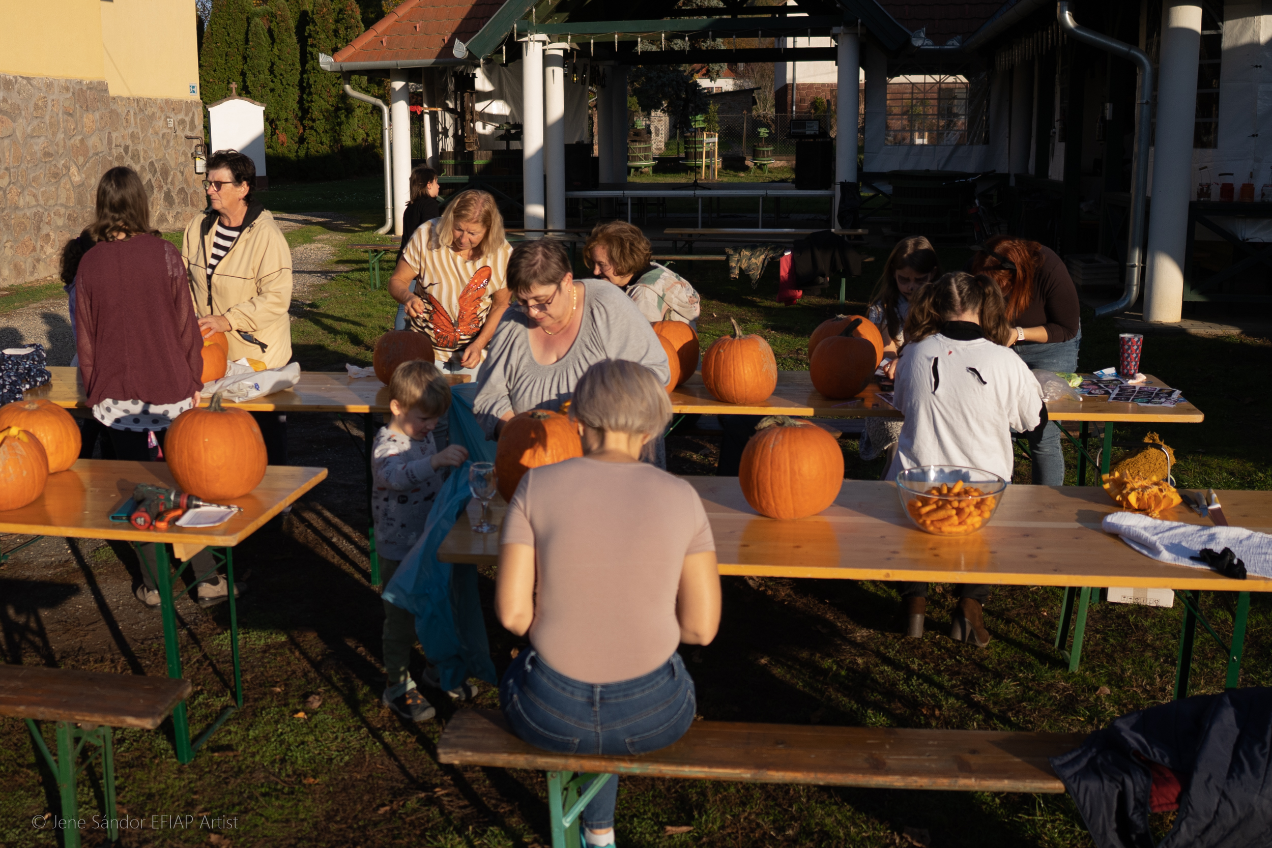 badacsonytordemic tokjonap 1