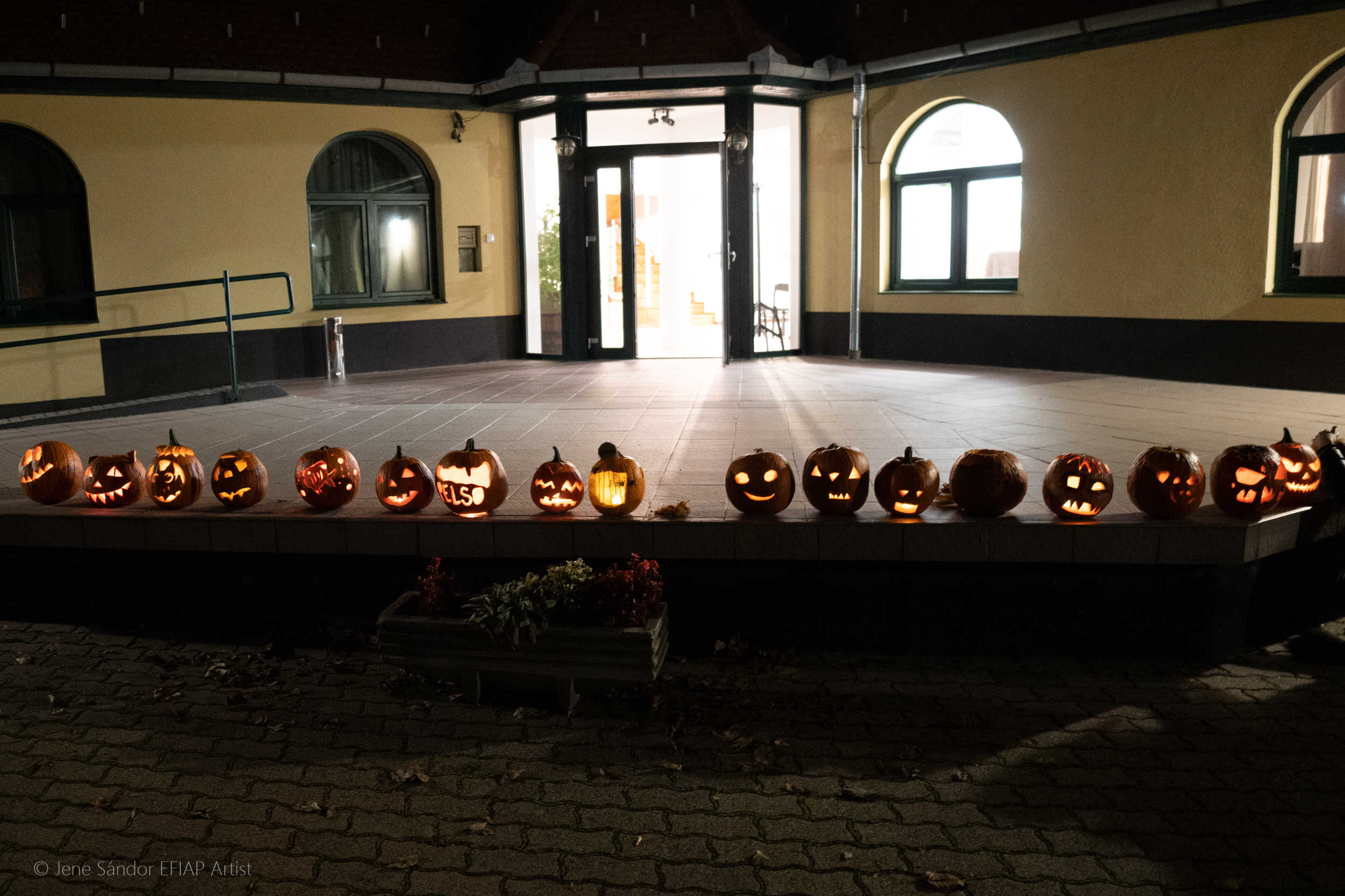 badacsonytordemic tokjonap 2