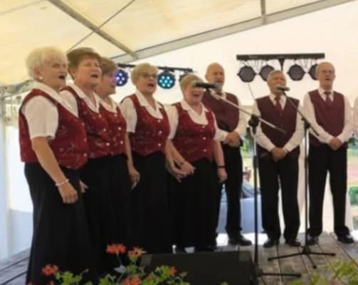 bakonytamasi megafon 1