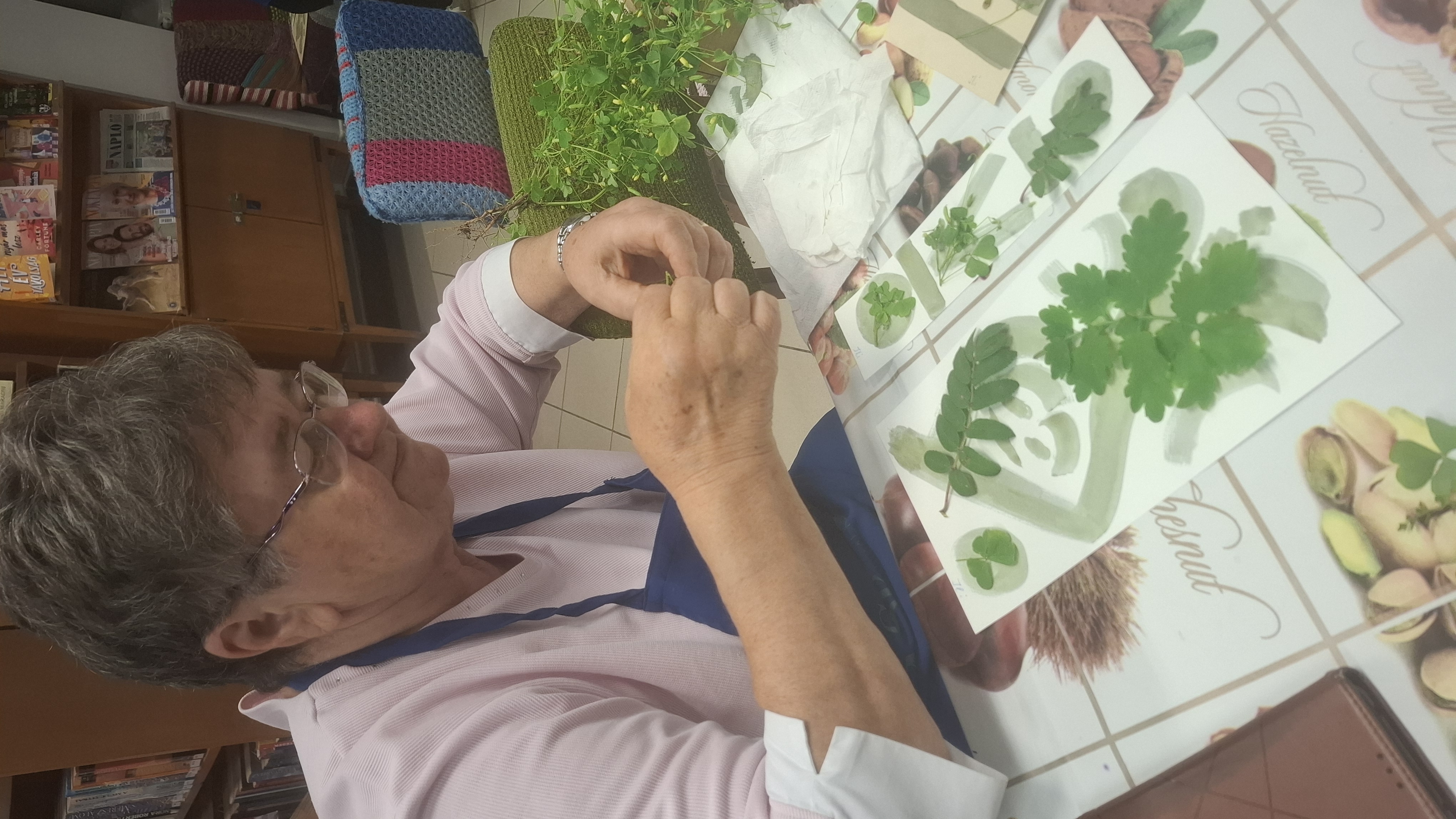 kapolcs kezmuvesfoglalkozas 1