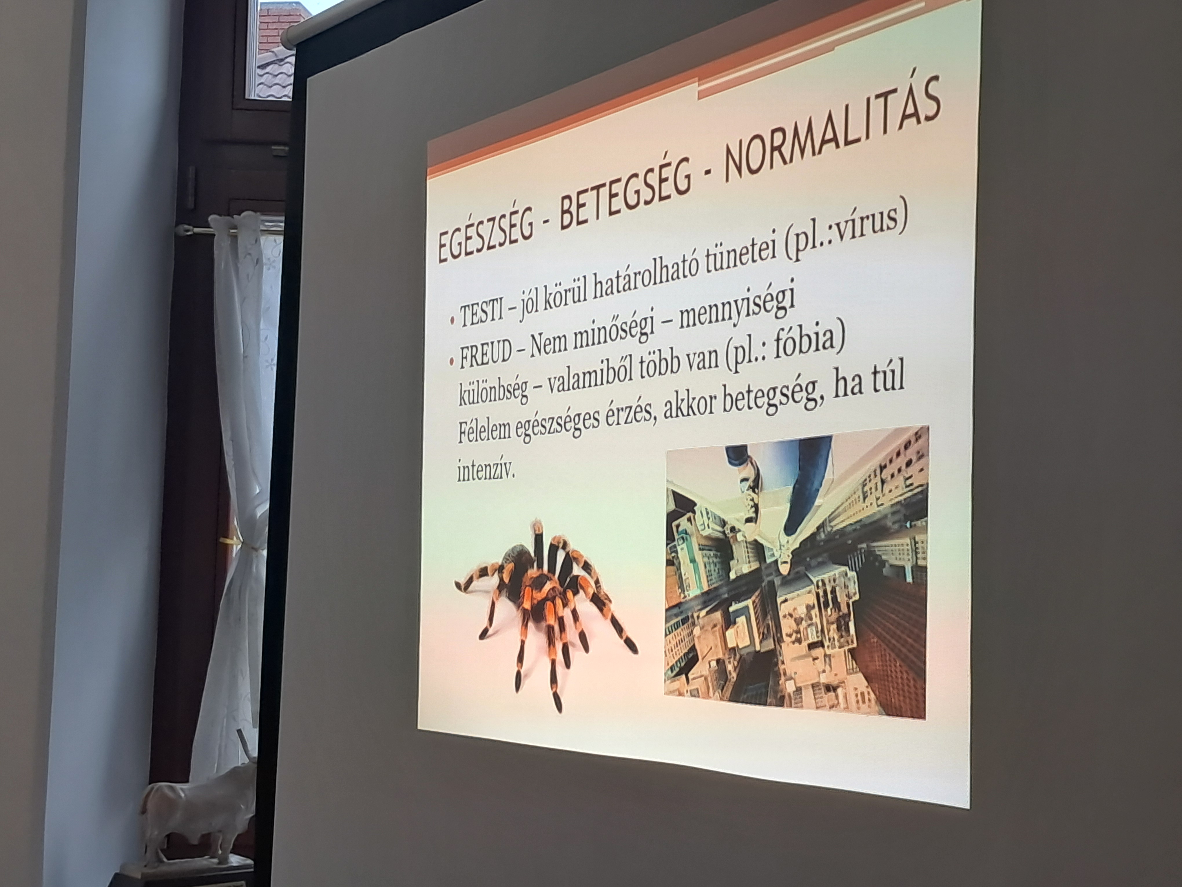 kaptalantoti magaszoltan 1