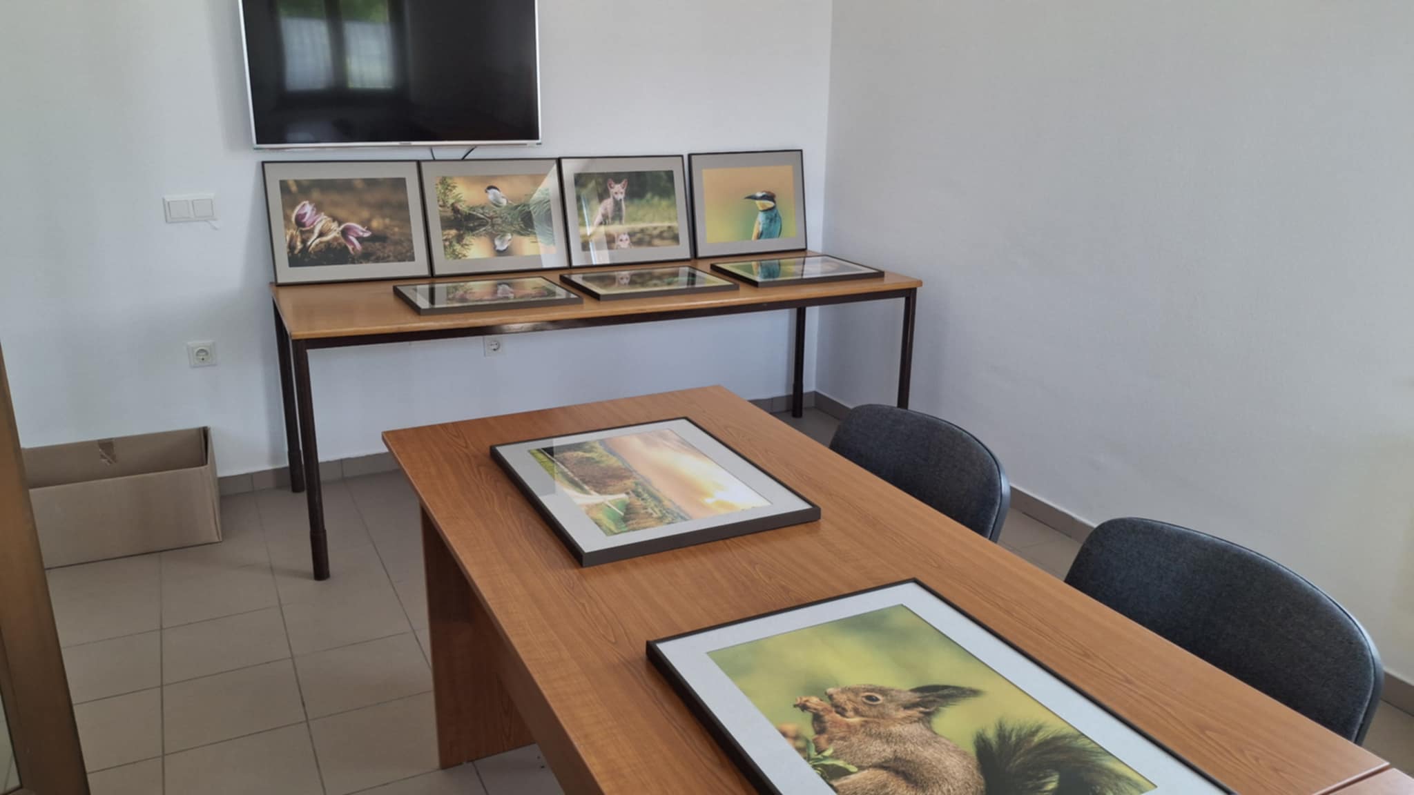 nemesgorzsony taloscsaba 2