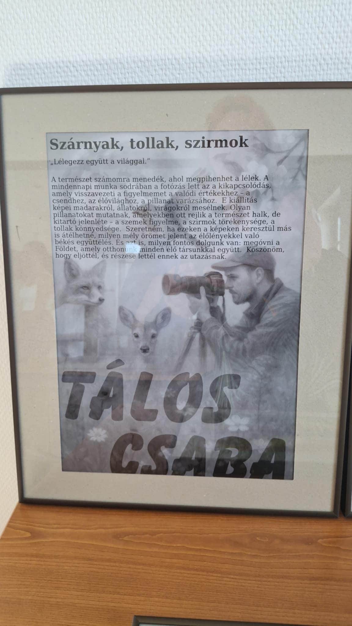 nemesgorzsony taloscsaba 3