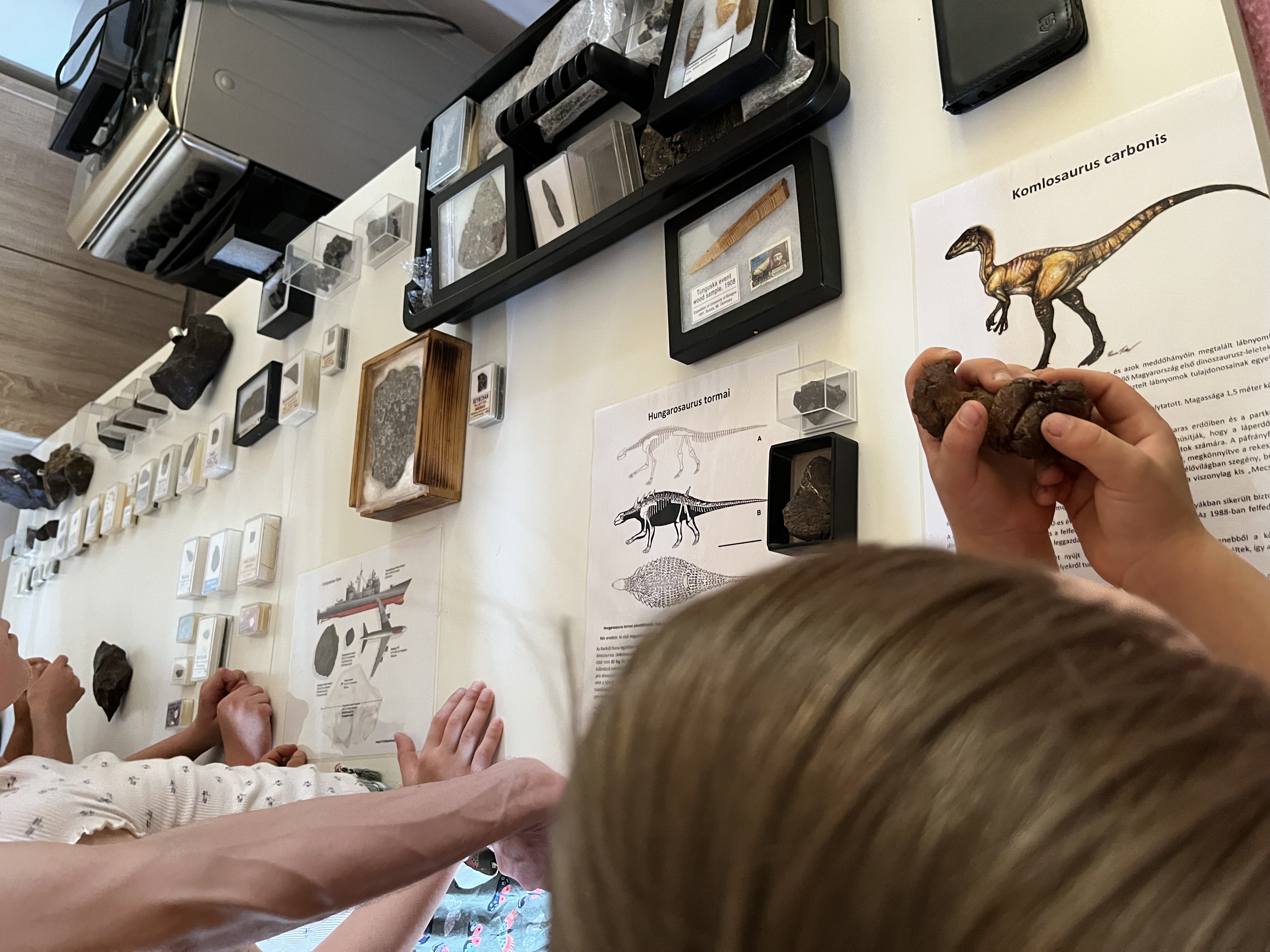 taliandorogd egikovek 2