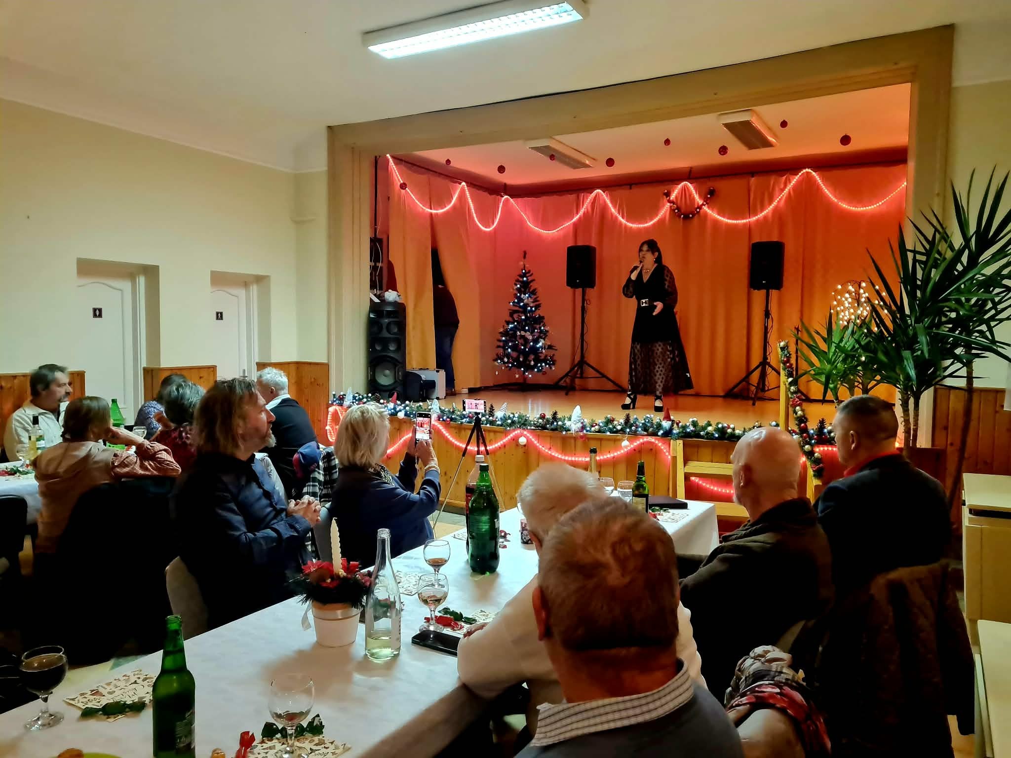 bakonysag hollenczer 2