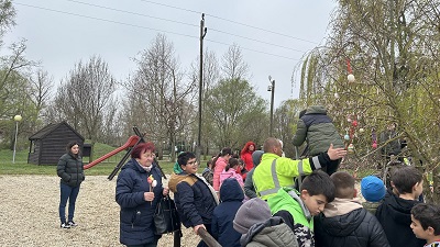 nagyalasony tojasfa 2