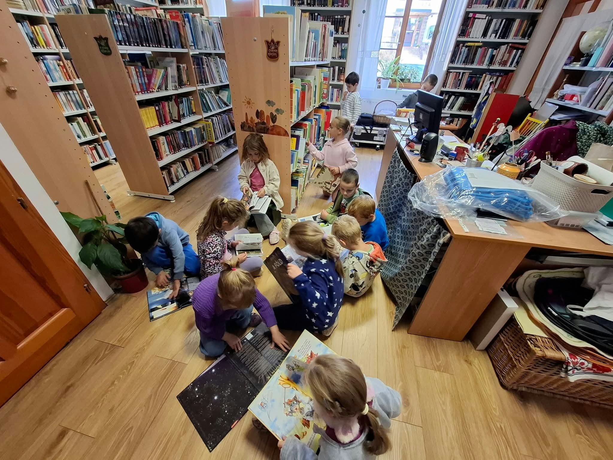 felsoors konyvtarlatogatas 2