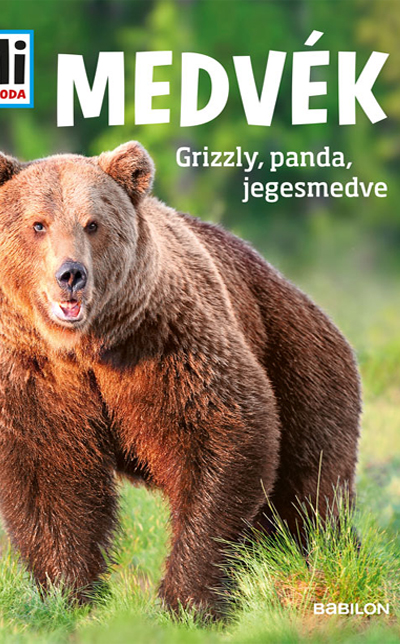 Medvék : grizzly, panda, jegesmedve
